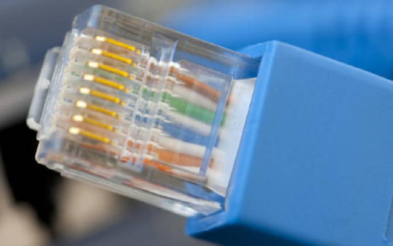 Close-up of male data jack connector for network cabling - Christchurch